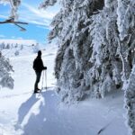 Bild Winterwandern