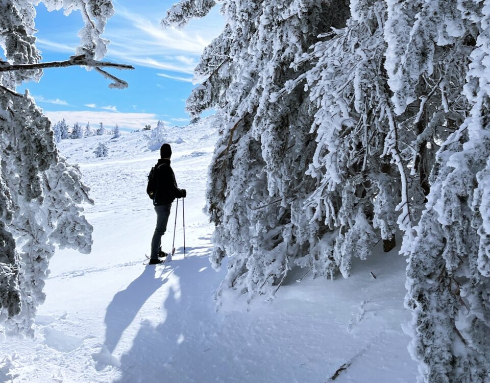 Bild Winterwandern